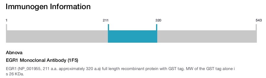 EGR1 Monoclonal Antibody (1F5)