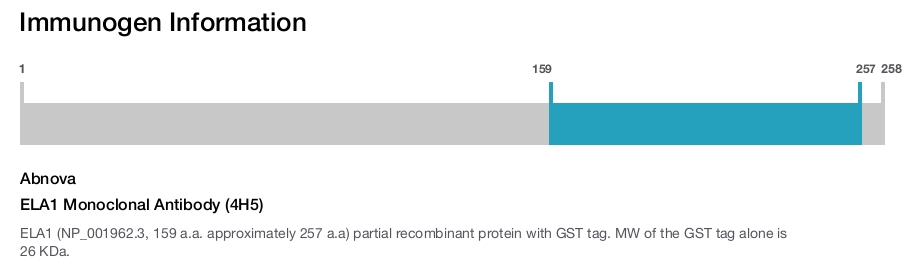 ELA1 Monoclonal Antibody (4H5)