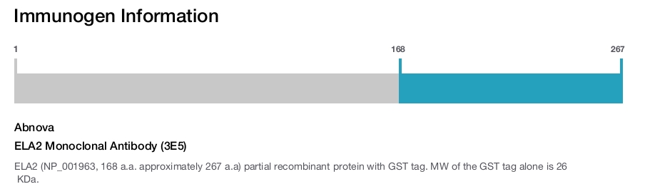 ELA2 Monoclonal Antibody (3E5)