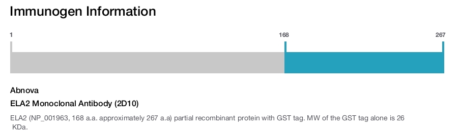 ELA2 Monoclonal Antibody (2D10)