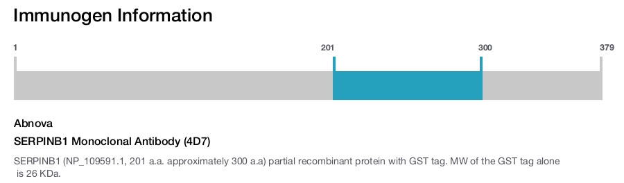 SERPINB1 Monoclonal Antibody (4D7)