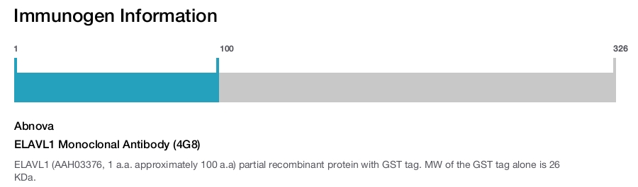 ELAVL1 Monoclonal Antibody (4G8)