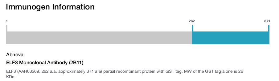 ELF3 Monoclonal Antibody (2B11)