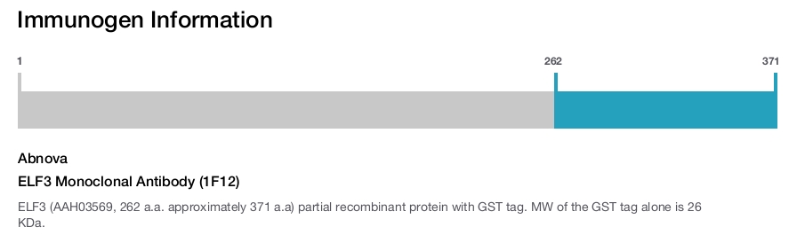 ELF3 Monoclonal Antibody (1F12)
