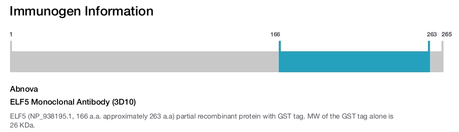 ELF5 Monoclonal Antibody (3D10)