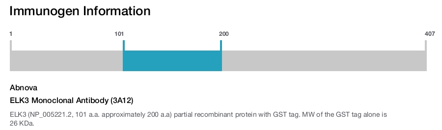 ELK3 Monoclonal Antibody (3A12)
