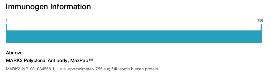 MARK2 Polyclonal Antibody, MaxPab™