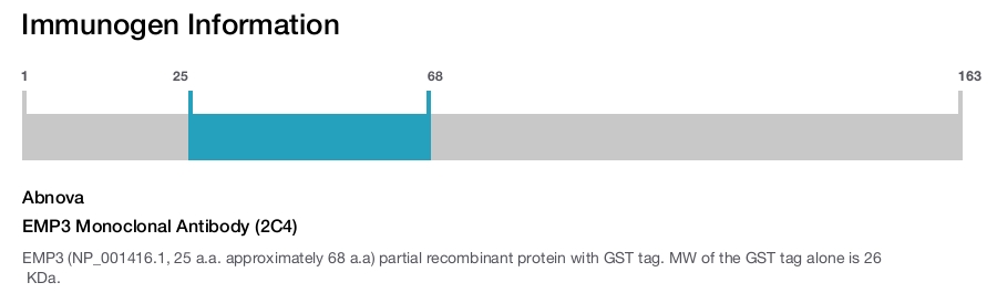 EMP3 Monoclonal Antibody (2C4)