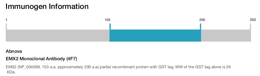 EMX2 Monoclonal Antibody (4F7)