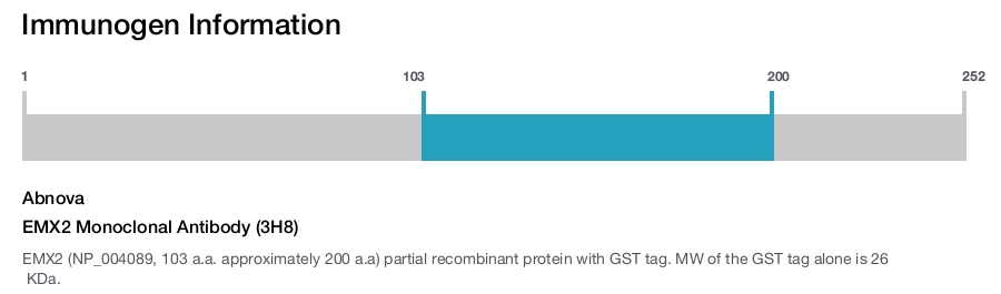 EMX2 Monoclonal Antibody (3H8)