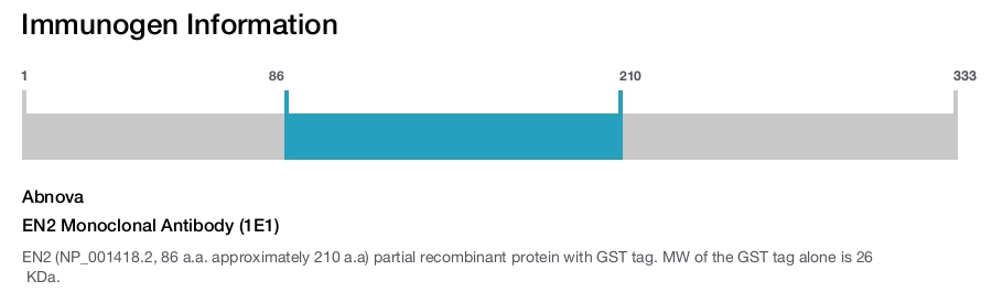 EN2 Monoclonal Antibody (1E1)