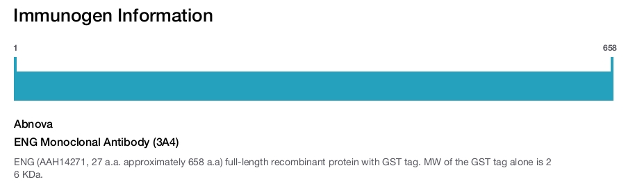 ENG Monoclonal Antibody (3A4)