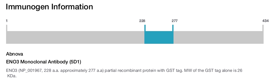 ENO3 Monoclonal Antibody (5D1)
