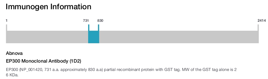 EP300 Monoclonal Antibody (1D2)