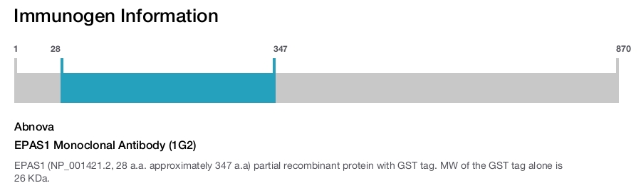 EPAS1 Monoclonal Antibody (1G2)