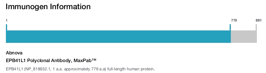 EPB41L1 Polyclonal Antibody, MaxPab™