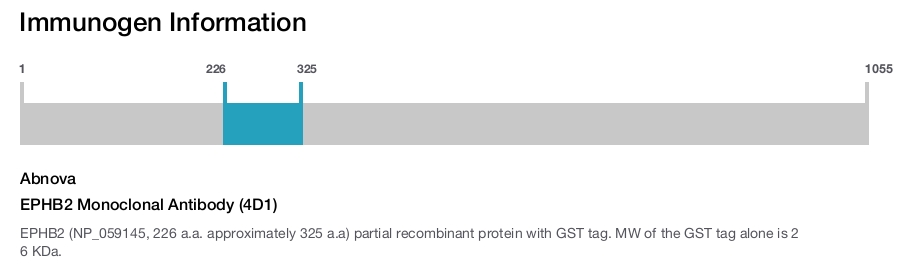 EPHB2 Monoclonal Antibody (4D1)