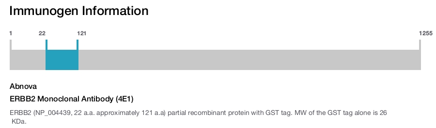 ERBB2 Monoclonal Antibody (4E1)