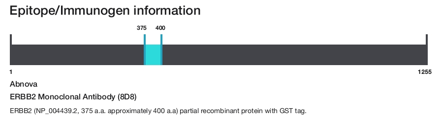 ERBB2 Monoclonal Antibody (8D8)