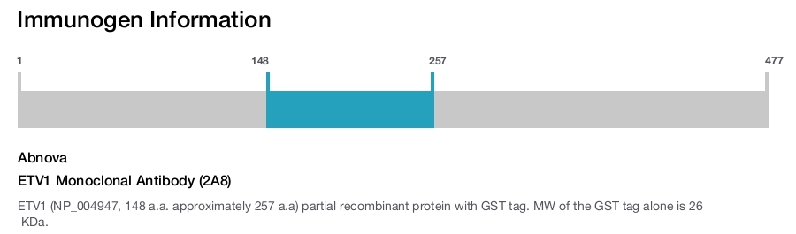 ETV1 Monoclonal Antibody (2A8)