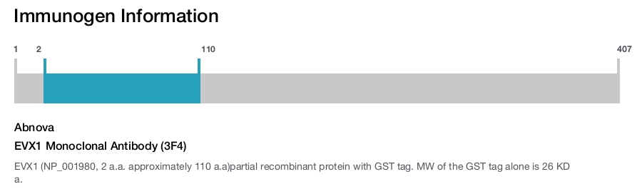 EVX1 Monoclonal Antibody (3F4)
