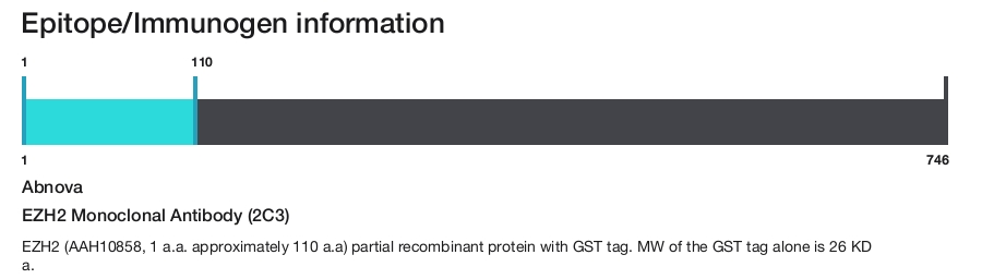 EZH2 Monoclonal Antibody (2C3)