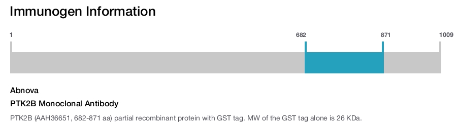 PTK2B Monoclonal Antibody
