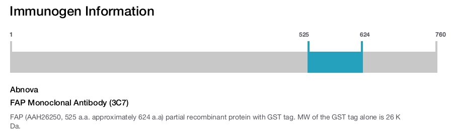 FAP Monoclonal Antibody (3C7)