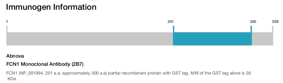 FCN1 Monoclonal Antibody (2B7)