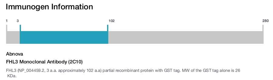 FHL3 Monoclonal Antibody (2C10)