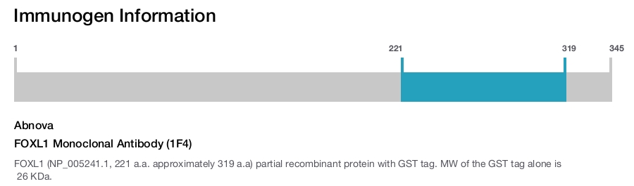 FOXL1 Monoclonal Antibody (1F4)