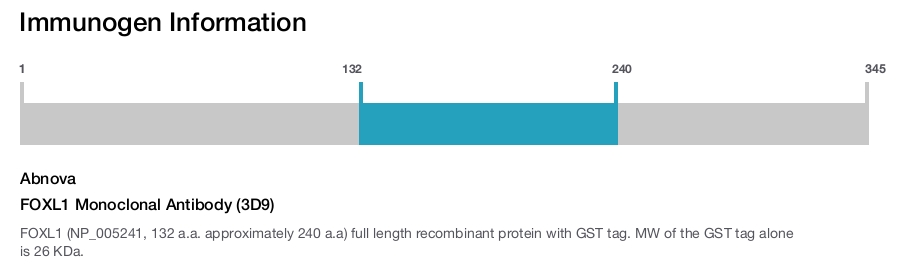 FOXL1 Monoclonal Antibody (3D9)