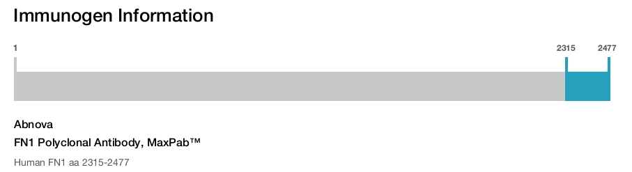 FN1 Polyclonal Antibody, MaxPab&trade;