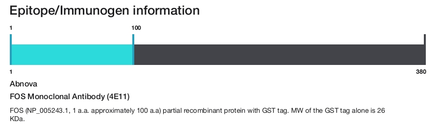 FOS Monoclonal Antibody (4E11)