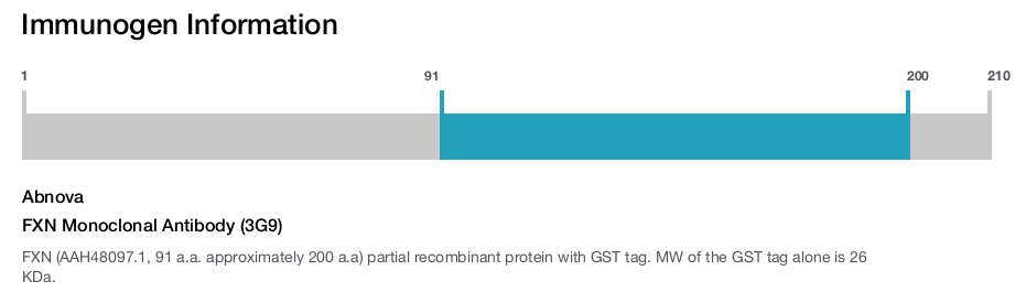 FXN Monoclonal Antibody (3G9)
