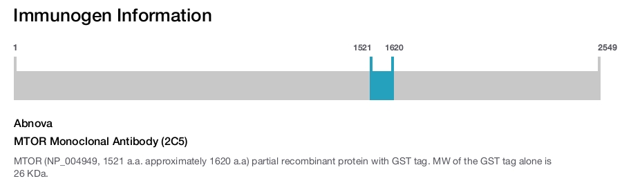 MTOR Monoclonal Antibody (2C5)
