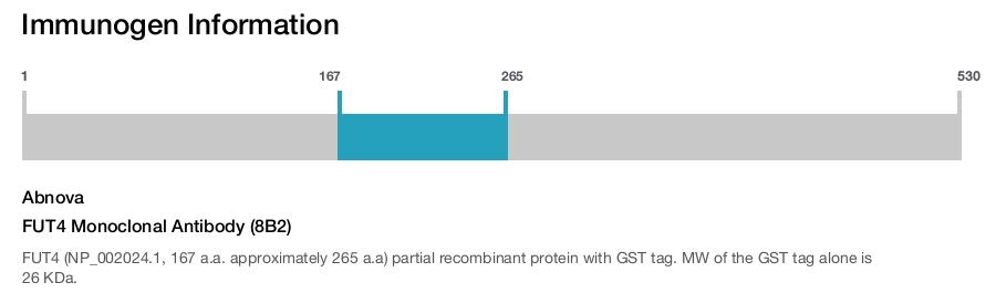 FUT4 Monoclonal Antibody (8B2)
