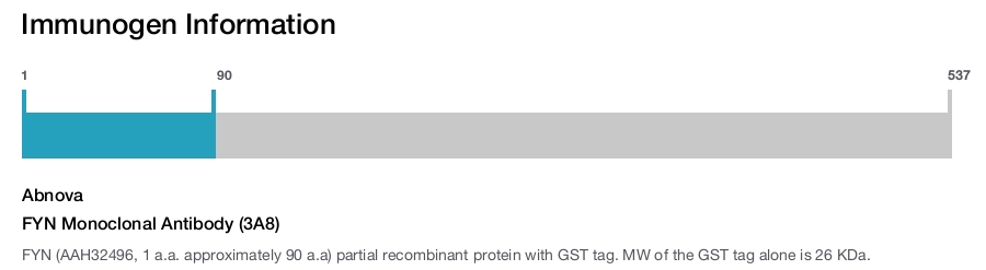 FYN Monoclonal Antibody (3A8)