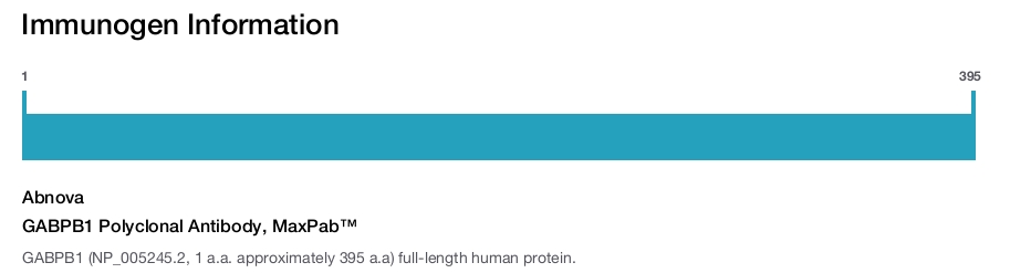 GABPB1 Polyclonal Antibody, MaxPab™