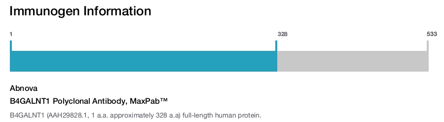 B4GALNT1 Polyclonal Antibody, MaxPab™