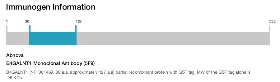 B4GALNT1 Monoclonal Antibody (5F9)