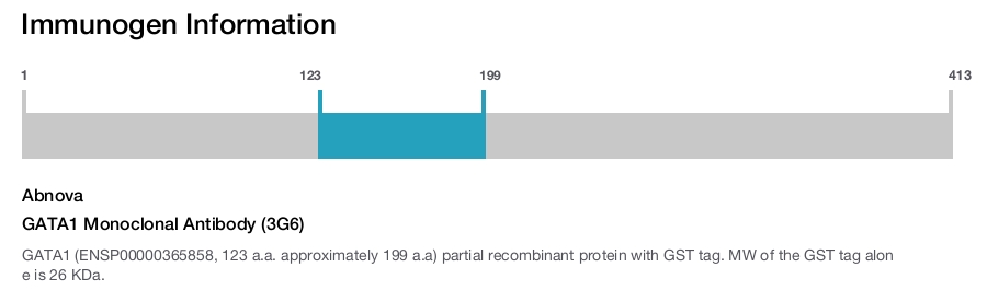 GATA1 Monoclonal Antibody (3G6)
