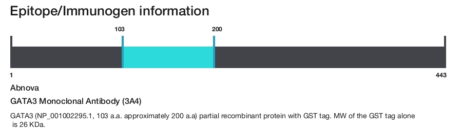 GATA3 Monoclonal Antibody (3A4)