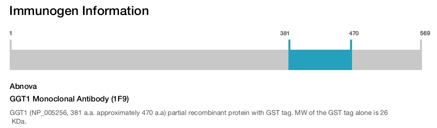 GGT1 Monoclonal Antibody (1F9)