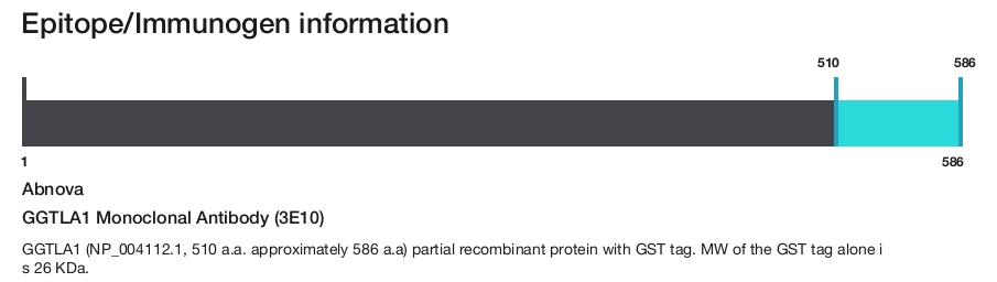 GGTLA1 Monoclonal Antibody (3E10)