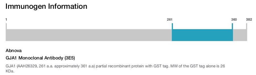 GJA1 Monoclonal Antibody (3E5)