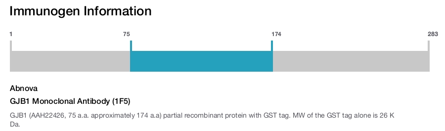 GJB1 Monoclonal Antibody (1F5)