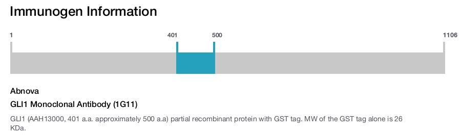 GLI1 Monoclonal Antibody (1G11)