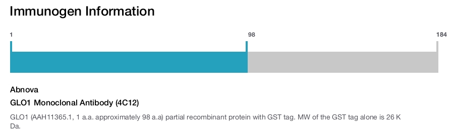 GLO1 Monoclonal Antibody (4C12)