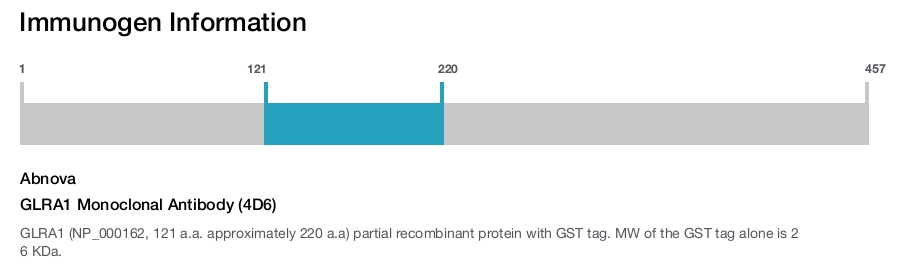 GLRA1 Monoclonal Antibody (4D6)